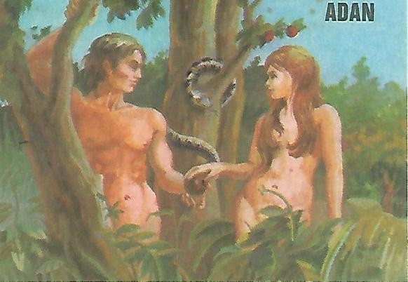 CROMO BIMBO - El Libro de las Adivinanzas no 10 - Quiniela de aciertos