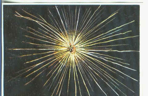 Cromos: Historia Natural numero 339