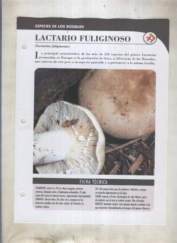 Bolets ficha 031: Lactario Fuliginoso (Lactarius fuliginosus)