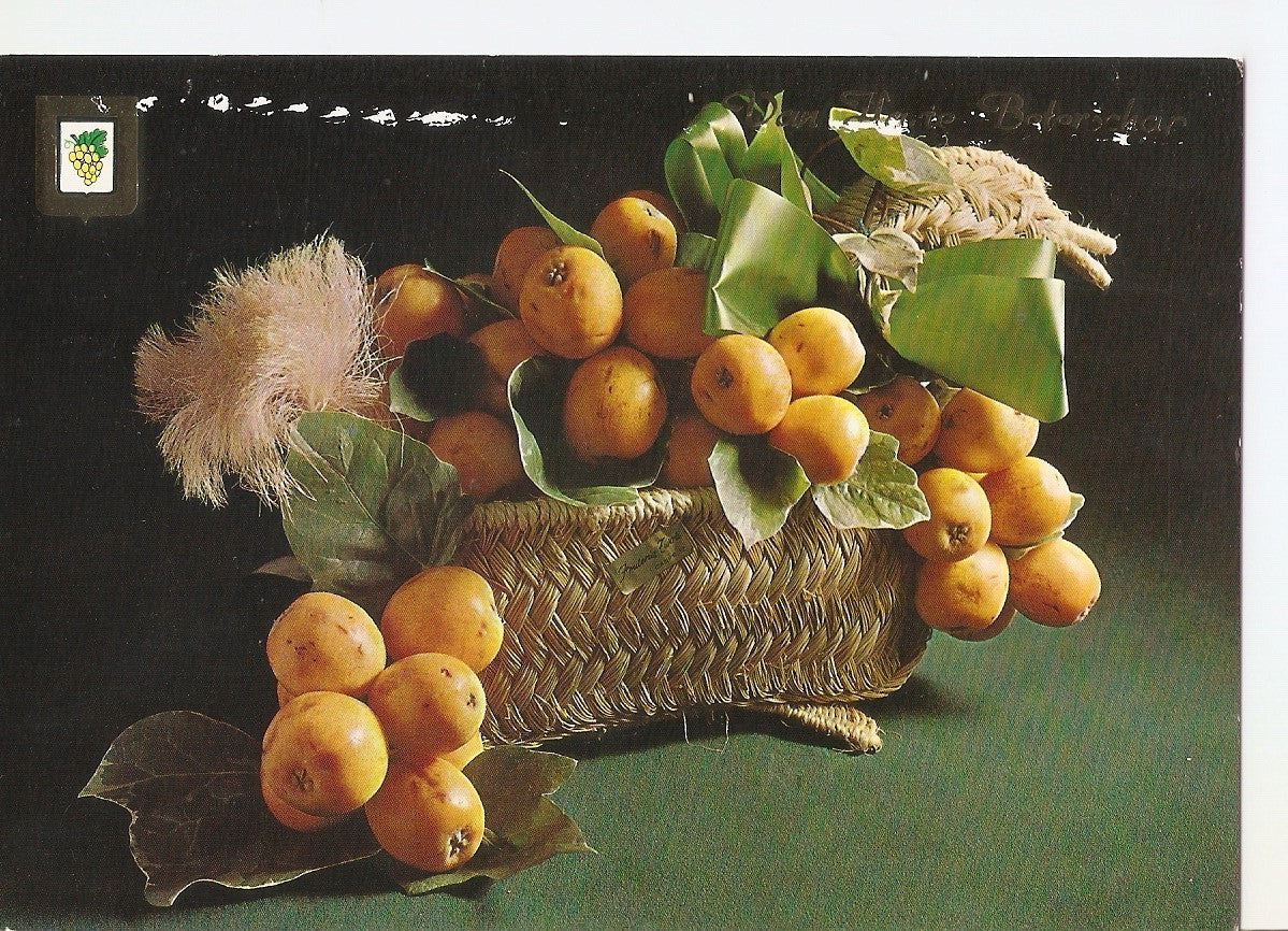 Postal 037864 : Cesto de fruta. Van Hate Beterschap