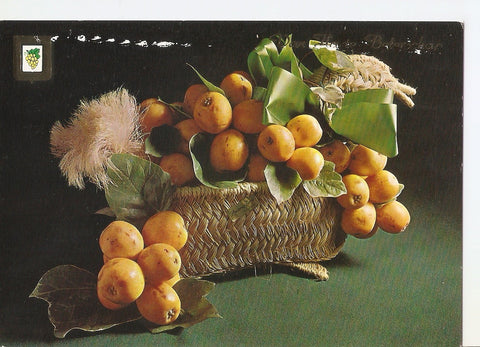 Postal 037864 : Cesto de fruta. Van Hate Beterschap