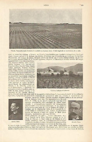 LAMINA ESPASA 4074: Viñedos
