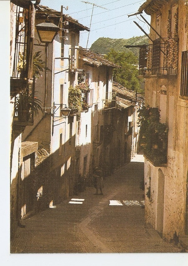 Postal 033031 : La Ainsa. Calle tipica
