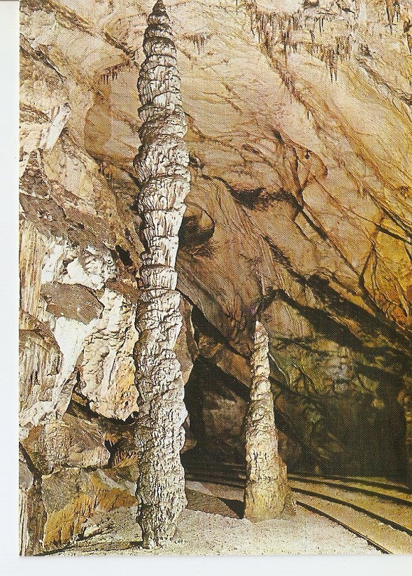 Postal 030087 : Postojnska Jama grotte - cave Cipresa