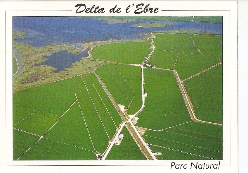 Postal 040733 : Delta de lEbre. Parc Natural