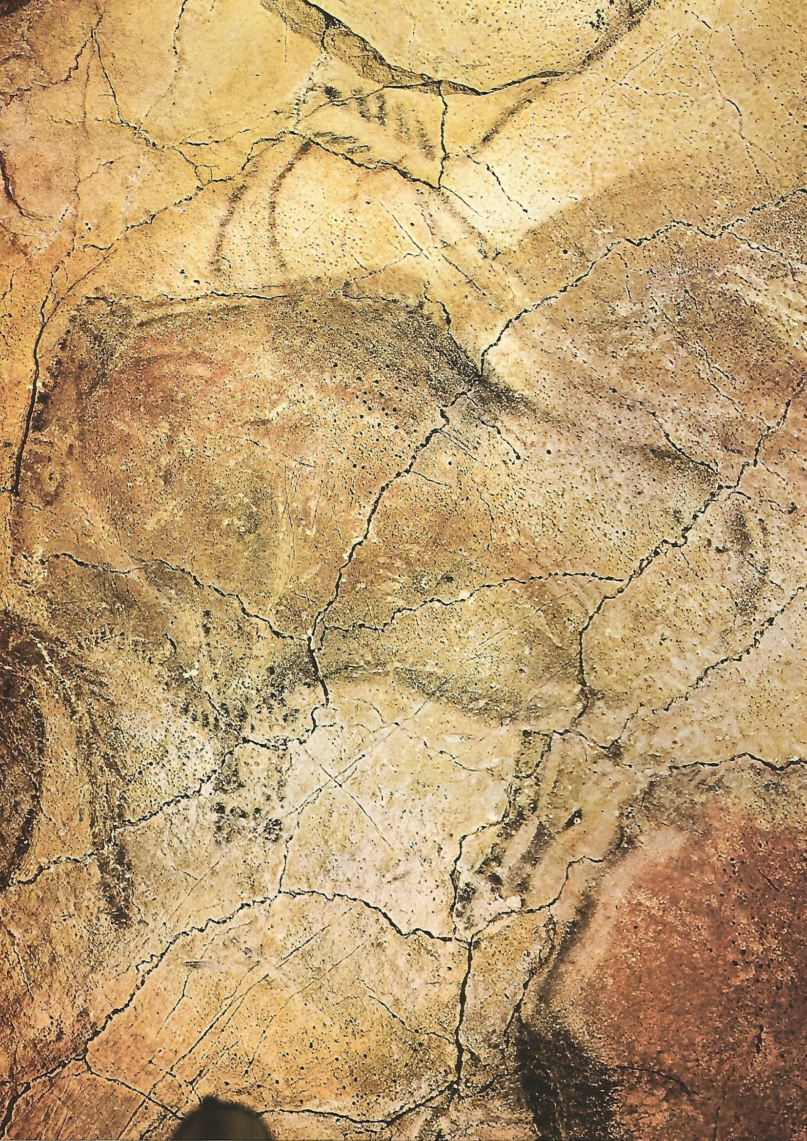 Lamina 038: Cueva de Altamira