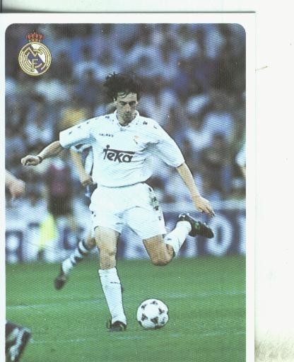 Cromos: Las fichas de la liga 95/96-Madrid: Amavisca