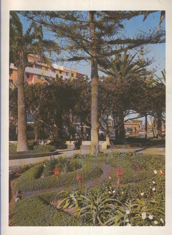 Gran Canaria: Lamina 28: Parque Cervante