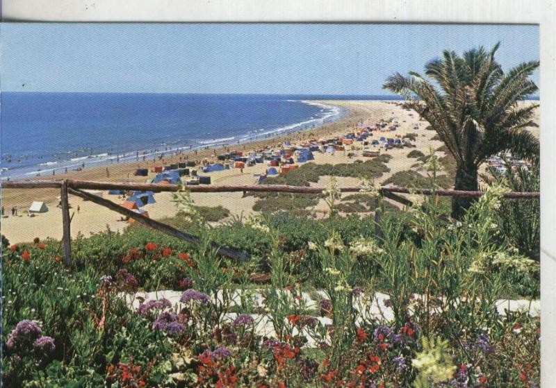 Postal: Gran Canaria-Playa del Ingles