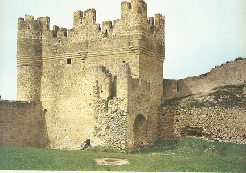 Lamina 0098: Torre del Homenaje del castillo de Berlanga del Duero (Soria)