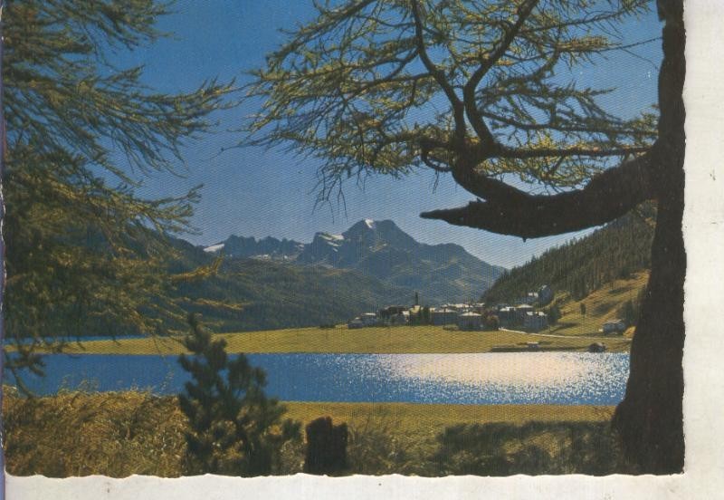 Postal 014879: Silvaplna mit Piz la Margna