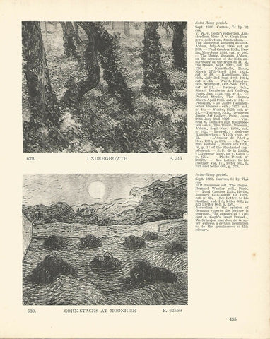 LAMINA 1417: VAN GOGH. Undergrowth. Corn-stacks at Moonrise