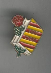 Pins: Sant Jordi