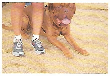 POSTAL PUBLICITARIA 55519:  NIKE BOWERMAN. CARMEN VALERO