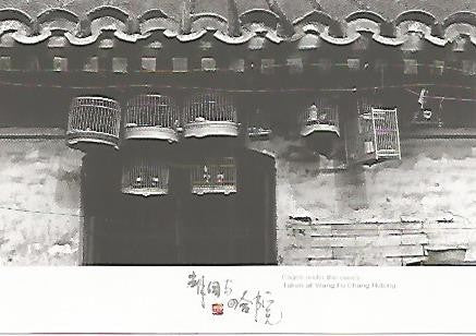 POSTAL 55729: CHINA. Cages under the caves