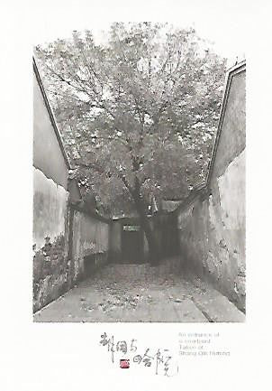 POSTAL 55745: CHINA. Shang Qin Hutong