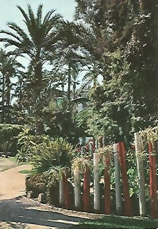 POSTAL 55824: ELCHE. Parque Municipal