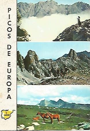 POSTAL 55842: PICOS DE EUROPA. Mar de niebla