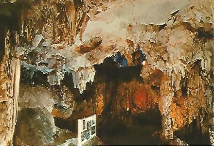 POSTAL 55851: CUEVA DE NERJA. Sala del Museo