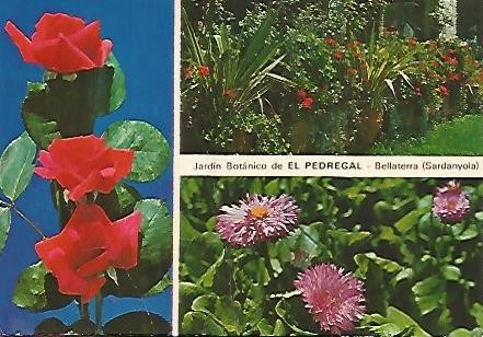 POSTAL 55877: BELLATERRA. Jardin Botanico