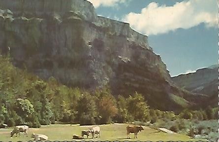POSTAL 55943: PARQUE NACIONAL DE ORDESA