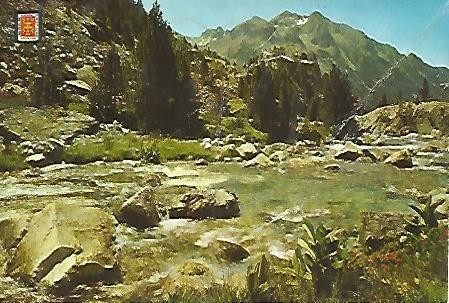 POSTAL 55954: PANTICOSA. Rio Caldares