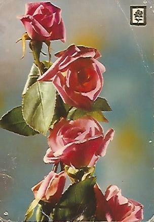 POSTAL 55965: Coleccion Flores.