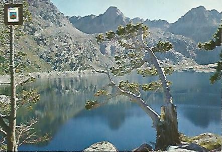 POSTAL 55971: REGION DE ESPOT. Lago Negro