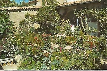 POSTAL 56001: MALLORCA. Valldemosa. Jardin de la Celda de Chopin y Sand