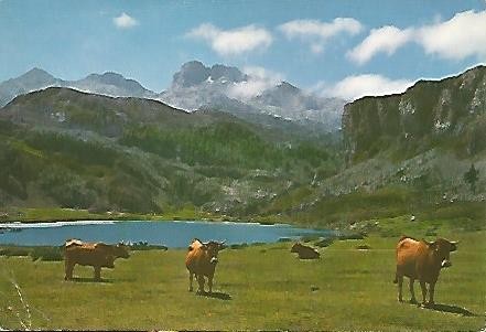 POSTAL 56047: COVADONGA. Picos de Europa