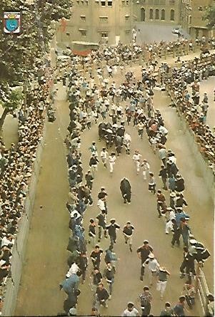 POSTAL 56075: PAMPLONA. Encierro de San Fermin