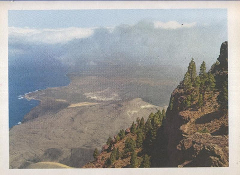 Gran Canaria: Lamina 17: Pinar de Tamadaba