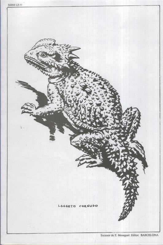 Emilio Freixas serie 60 lamina 11: Lagarto cornudo
