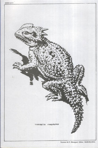 Emilio Freixas serie 60 lamina 11: Lagarto cornudo