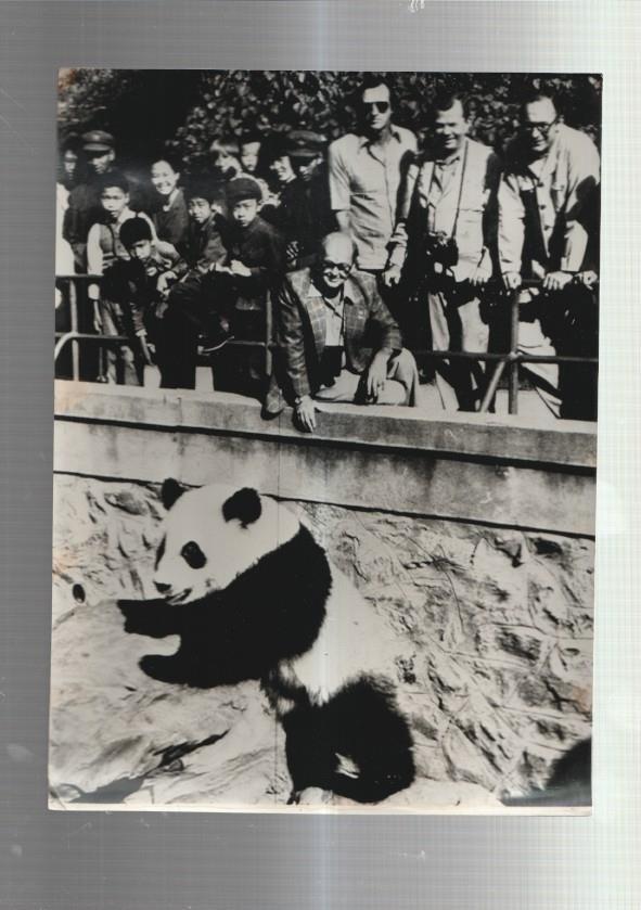 Foto Prensa numero 220: Peter Scott de World Wildlife  viendo oso panda