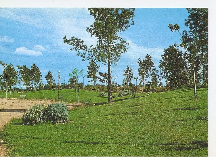 Postal 048115 : Manzanares. Parque del Poligono Industrial