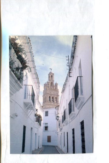 Postal / Postcard: 54879: RECORTADA: Cale Bodegones de Llerena-Badajoz