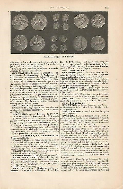 LAMINA ESPASA 7937: Monedas de Evagoras II de Salamina