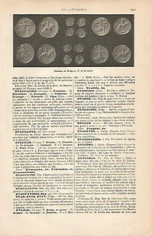 LAMINA ESPASA 7937: Monedas de Evagoras II de Salamina