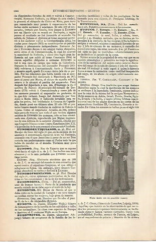 LAMINA ESPASA 7939: Mujer arabe con su guardian eunuco