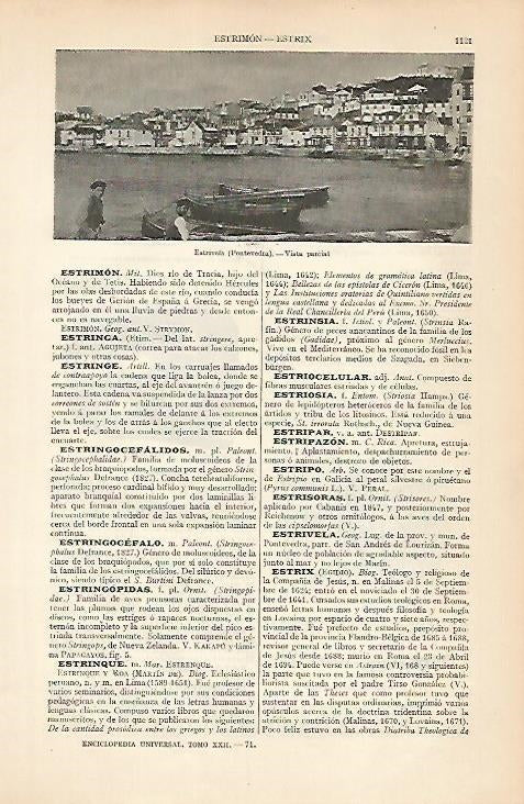 LAMINA ESPASA 7954: Vista parcial de Estrivela Pontevedra
