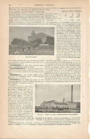 LAMINA ESPASA 7957: El Faro de Estepona