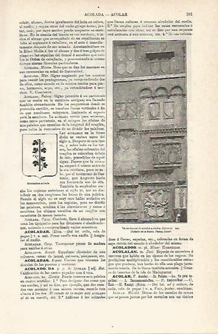 LAMINA ESPASA 8061: Palacio de la Razon en Padua Italia