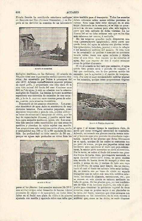 LAMINA ESPASA 8084: Acuario de Amsterdam de Brighton y de Roma