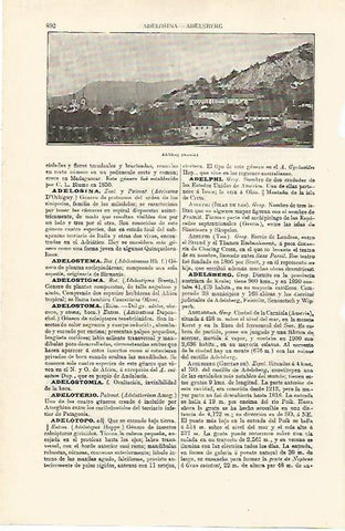 LAMINA ESPASA 8137: Vista de Adelsberg Austria