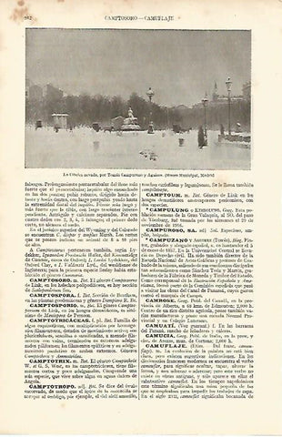 LAMINA ESPASA 8279: La Cibeles nevada por T. Campuzano y Aguirre