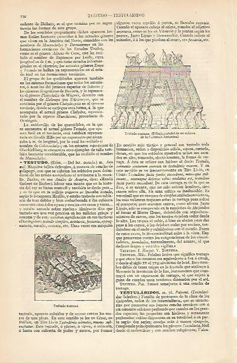 LAMINA ESPASA 8303: Testudo romana