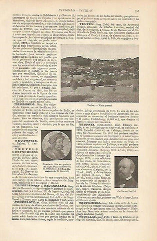 LAMINA ESPASA 8317: Vista general de Teufen Suiza
