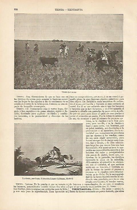 LAMINA ESPASA 8405: La tienta por Goya. Tienta por acoso
