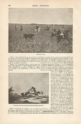 LAMINA ESPASA 8405: La tienta por Goya. Tienta por acoso